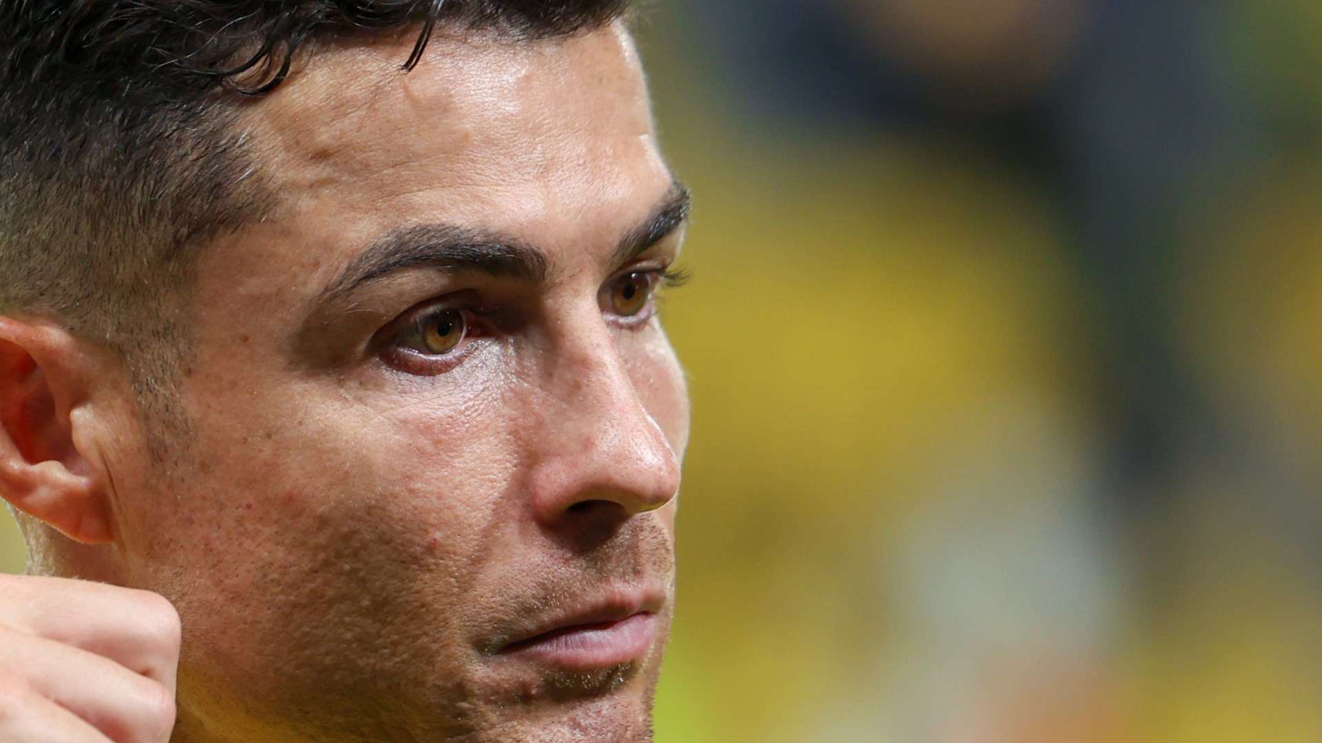 花過往比賽 花過往比賽